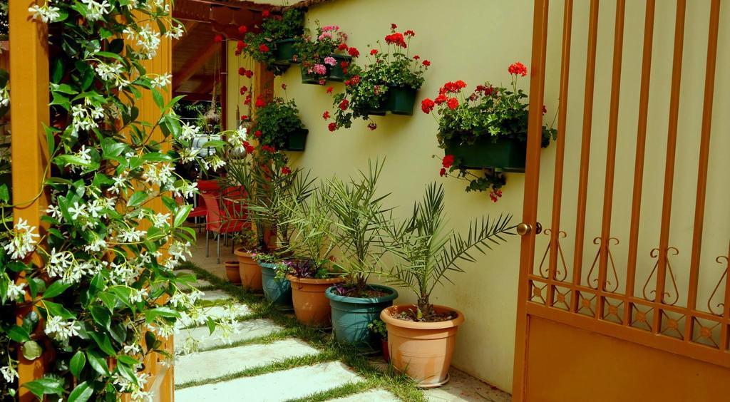 טיראנה Kruja Hotel מראה חיצוני תמונה
